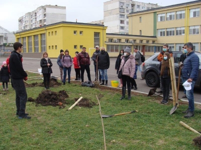 Зелено Дарение