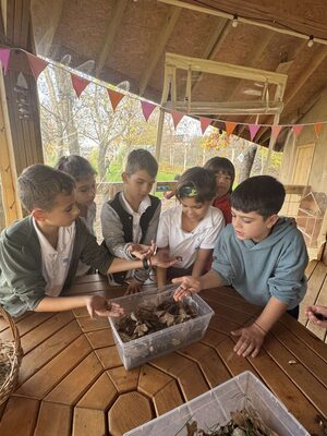 „Класна стая сред лехите – Запознаваме се с природата“ със съфинансиране от Ротари Дистрикт 2482, България