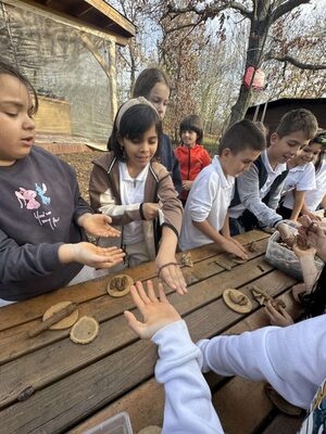 „Класна стая сред лехите – Запознаваме се с природата“ със съфинансиране от Ротари Дистрикт 2482, България